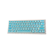 [Custom] [DIY] Wooting 60HEv2 Gaming Custom Keyboard