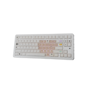 [Custom] [DIY]Wooting 80HE Analog Hall Effect Custom Keyboard